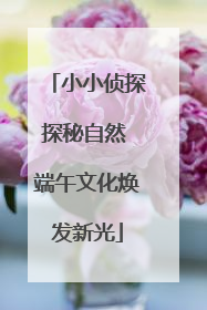 小小侦探探秘自然 端午文化焕发新光