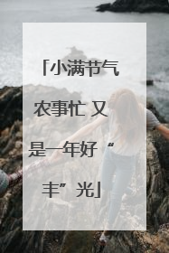 小满节气农事忙 又是一年好“丰”光