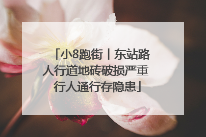 小8跑街丨东站路人行道地砖破损严重 行人通行存隐患