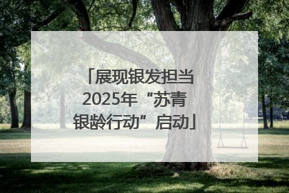 展现银发担当 2025年“苏青银龄行动”启动