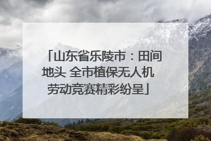 山东省乐陵市：田间地头 全市植保无人机劳动竞赛精彩纷呈