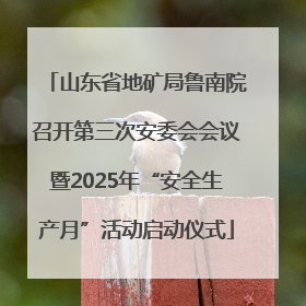 山东省地矿局鲁南院召开第三次安委会会议暨2025年“安全生产月”活动启动仪式