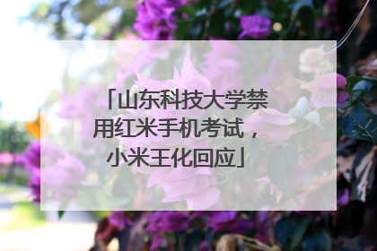 山东科技大学禁用红米手机考试，小米王化回应