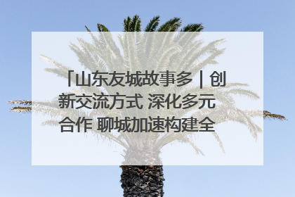 山东友城故事多｜创新交流方式 深化多元合作 聊城加速构建全球友城新格局