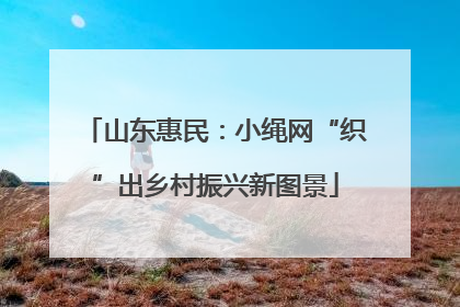 山东惠民：小绳网“织”出乡村振兴新图景