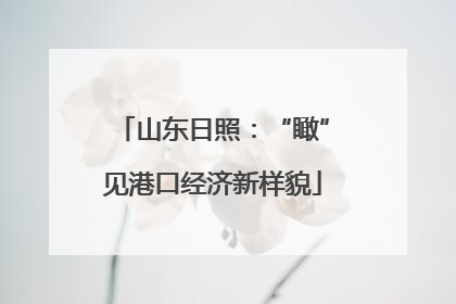 山东日照：“瞰”见港口经济新样貌