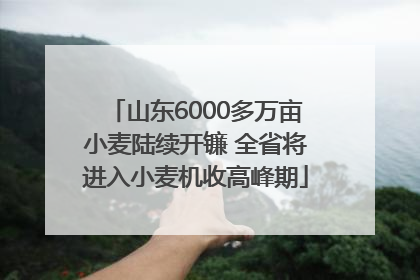 山东6000多万亩小麦陆续开镰 全省将进入小麦机收高峰期