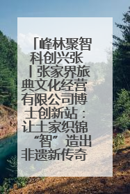 峰林聚智 科创兴张丨张家界旅典文化经营有限公司博士创新站：让土家织锦“智”造出非遗新传奇