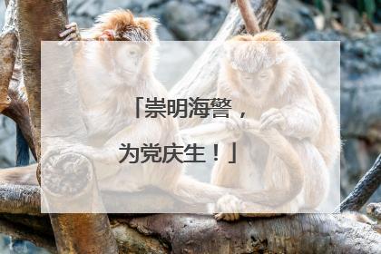 崇明海警，为党庆生！