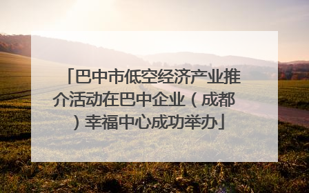 巴中市低空经济产业推介活动在巴中企业（成都）幸福中心成功举办