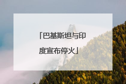巴基斯坦与印度宣布停火