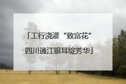 工行浇灌“致富花” 四川通江银耳绽芳华