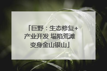巨野：生态修复+产业开发 塌陷荒滩变身金山银山