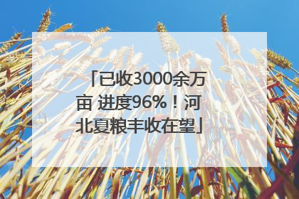 已收3000余万亩 进度96%！河北夏粮丰收在望