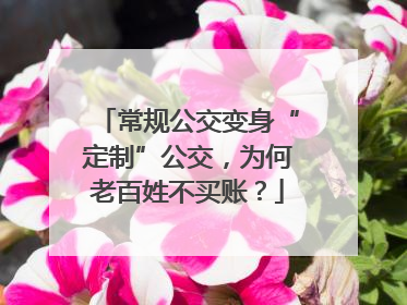 常规公交变身“定制”公交，为何老百姓不买账？