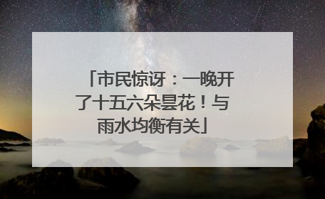 市民惊讶：一晚开了十五六朵昙花！与雨水均衡有关