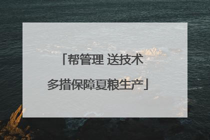 帮管理 送技术 多措保障夏粮生产