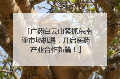 广药白云山紧抓东南亚市场机遇，开启医药产业合作新篇！
