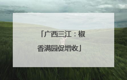 广西三江：椒香满园促增收