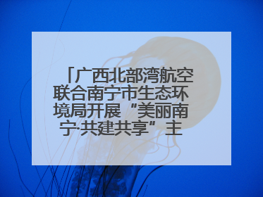 广西北部湾航空联合南宁市生态环境局开展“美丽南宁·共建共享”主题航班活动