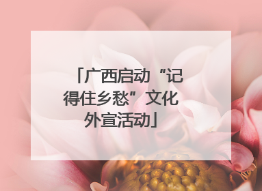 广西启动“记得住乡愁”文化外宣活动