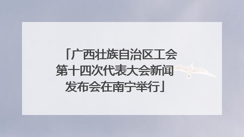 广西壮族自治区工会第十四次代表大会新闻发布会在南宁举行