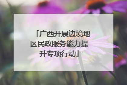 广西开展边境地区民政服务能力提升专项行动