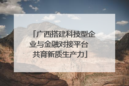广西搭建科技型企业与金融对接平台 共育新质生产力