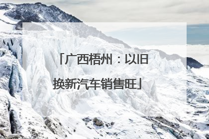广西梧州：以旧换新汽车销售旺