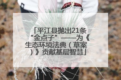 平江县抛出21条“金点子”——为《生态环境法典（草案）》贡献基层智慧