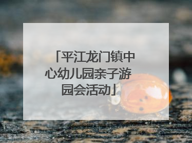 平江龙门镇中心幼儿园亲子游园会活动