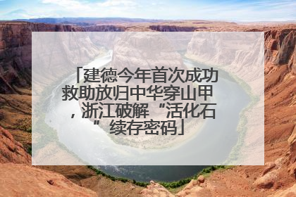 建德今年首次成功救助放归中华穿山甲，浙江破解“活化石”续存密码