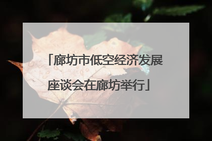 廊坊市低空经济发展座谈会在廊坊举行