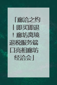 廊洽之约丨即买即退！廊坊离境退税服务端口亮相廊坊经洽会