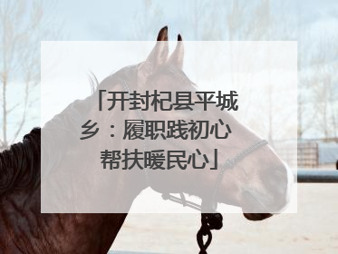 开封杞县平城乡：履职践初心 帮扶暖民心