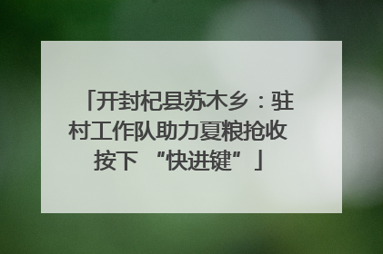 开封杞县苏木乡：驻村工作队助力夏粮抢收按下 “快进键”