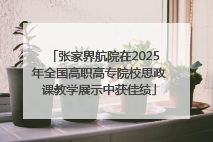 张家界航院在2025年全国高职高专院校思政课教学展示中获佳绩