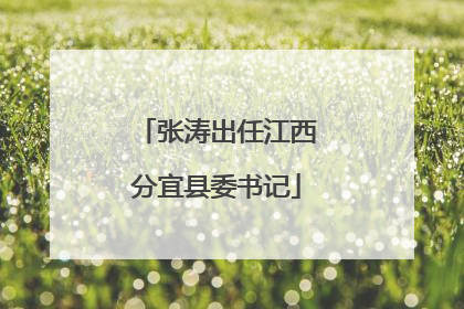 张涛出任江西分宜县委书记