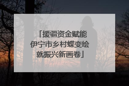 援疆资金赋能 伊宁市乡村蝶变绘就振兴新画卷