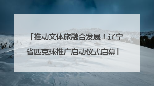 推动文体旅融合发展！辽宁省匹克球推广启动仪式启幕