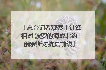 总台记者观察丨针锋相对 波罗的海成北约俄罗斯对抗最前线