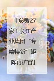 总数27家！长江产业集团“专精特新”矩阵再扩容
