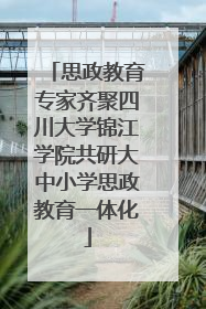 思政教育专家齐聚四川大学锦江学院共研大中小学思政教育一体化