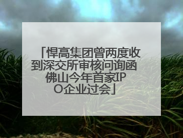 悍高集团曾两度收到深交所审核问询函 佛山今年首家IPO企业过会