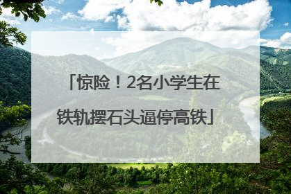 惊险！2名小学生在铁轨摆石头逼停高铁