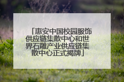 惠安中国校园服饰供应链集散中心和世界石雕产业供应链集散中心正式揭牌