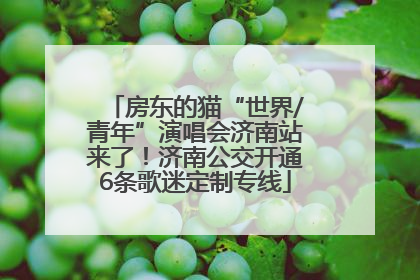 房东的猫“世界/青年”演唱会济南站来了！济南公交开通6条歌迷定制专线