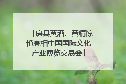 房县黄酒、黄精惊艳亮相中国国际文化产业博览交易会