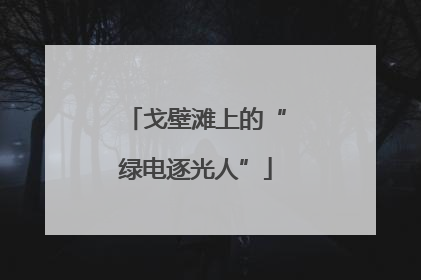 戈壁滩上的“绿电逐光人”
