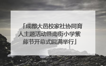 成都大邑校家社协同育人主题活动暨南街小学紫藤节开幕式圆满举行